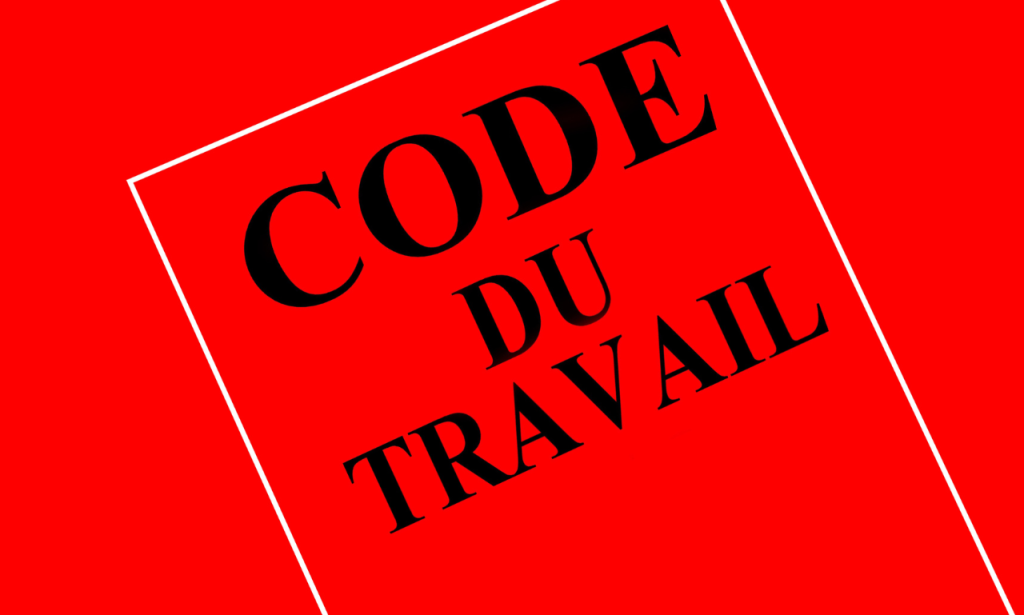 Travaux sur corde. DS Cordiste