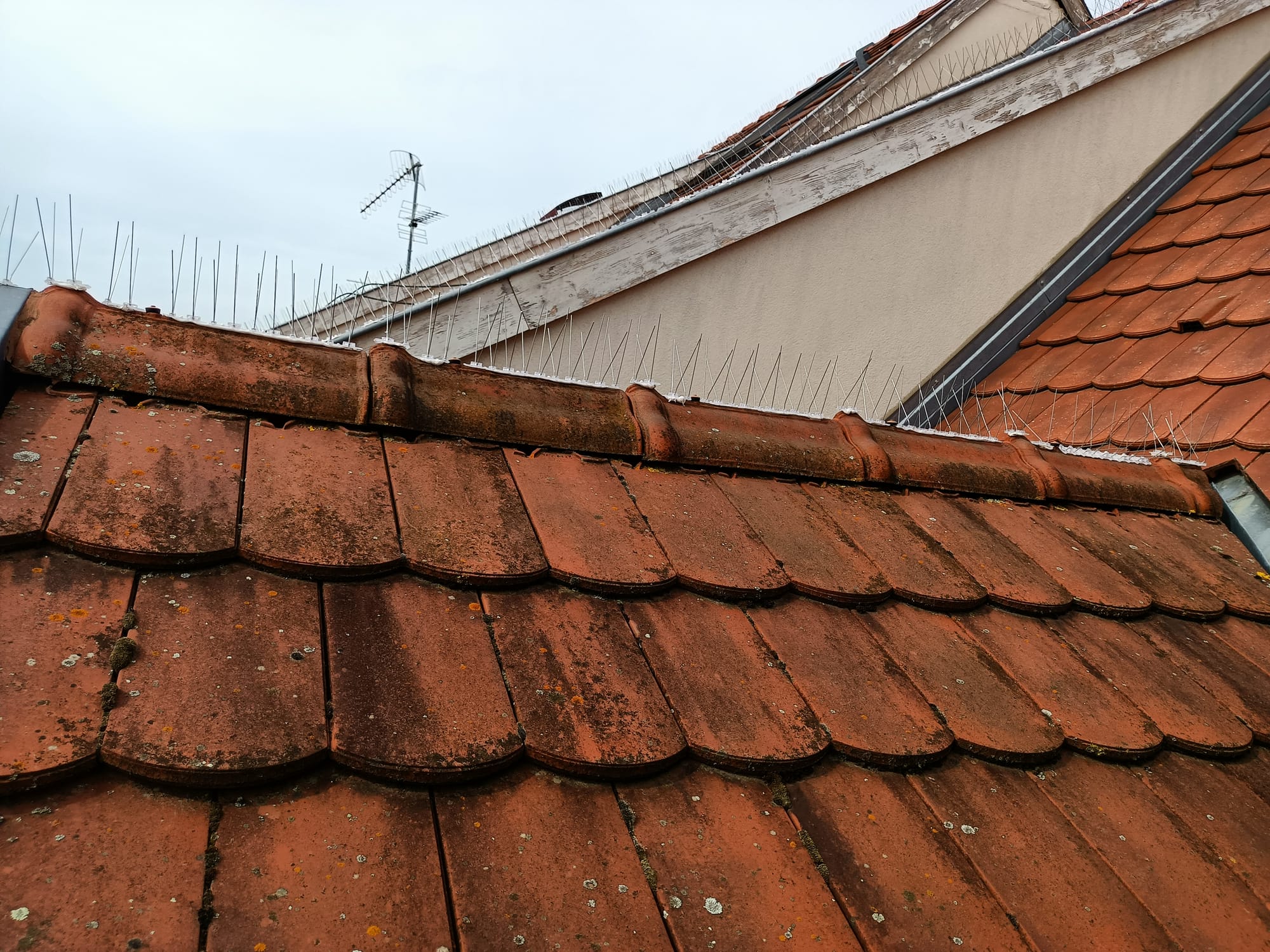 Cordiste : bien plus que laver des vitres