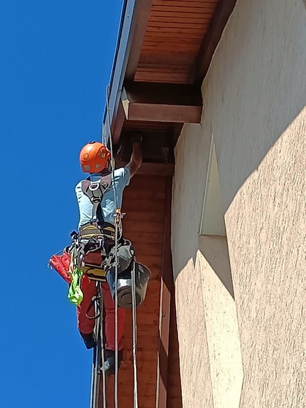 Antipigeon sur bâtiment